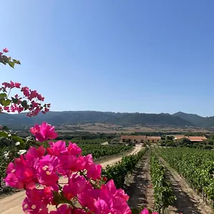  Bauernhof Campesi Casale Tra Le Vigne Italien